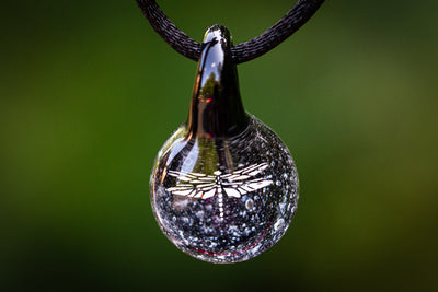 hologram dragonfly with ash